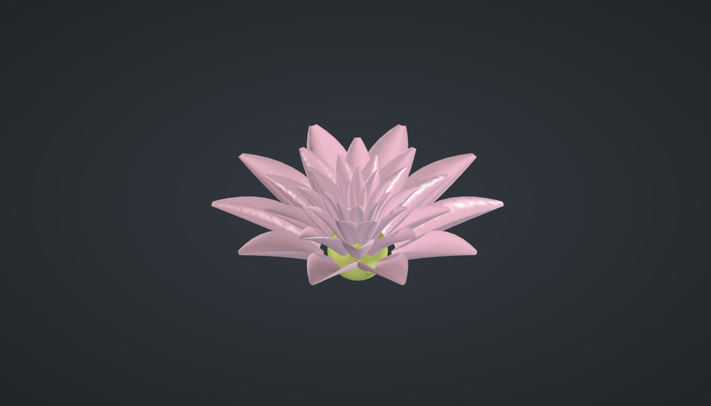 Blooming lotus